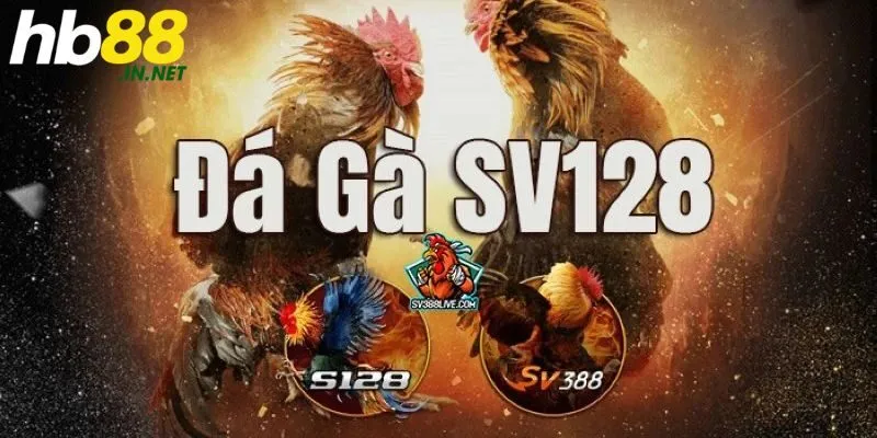 Đá gà SV128 – Sảnh chơi thú vị, an toàn nhất năm 2026! - ZUVEX.INFO