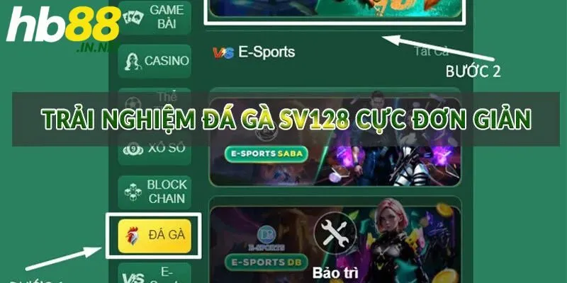 Đá gà SV128 – Sảnh chơi thú vị, an toàn nhất năm 2026! - ZUVEX.INFO
