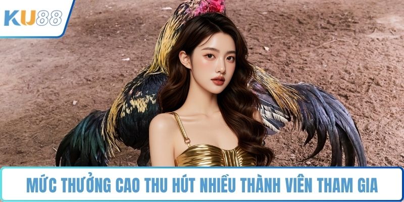 Đá Gà – Sảnh Chọi Kê Trực Tuyến Đẳng Cấp Nhất 2026 - ZUVEX.INFO