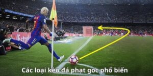 8DAY ⭐️ Trang Chủ DT68 Chính Thức 2026 | Đăng Ký +68K - ZUVEX.INFO